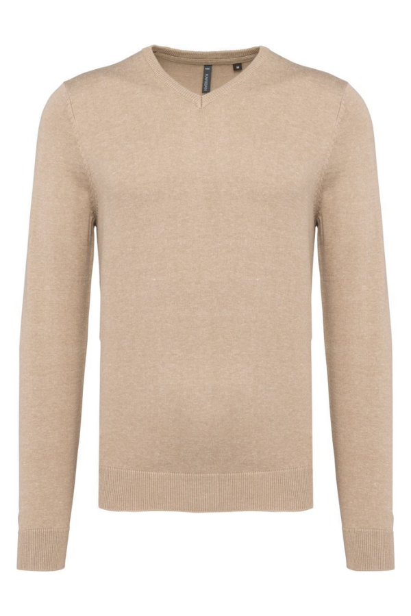 Men's V-Neck Pullover